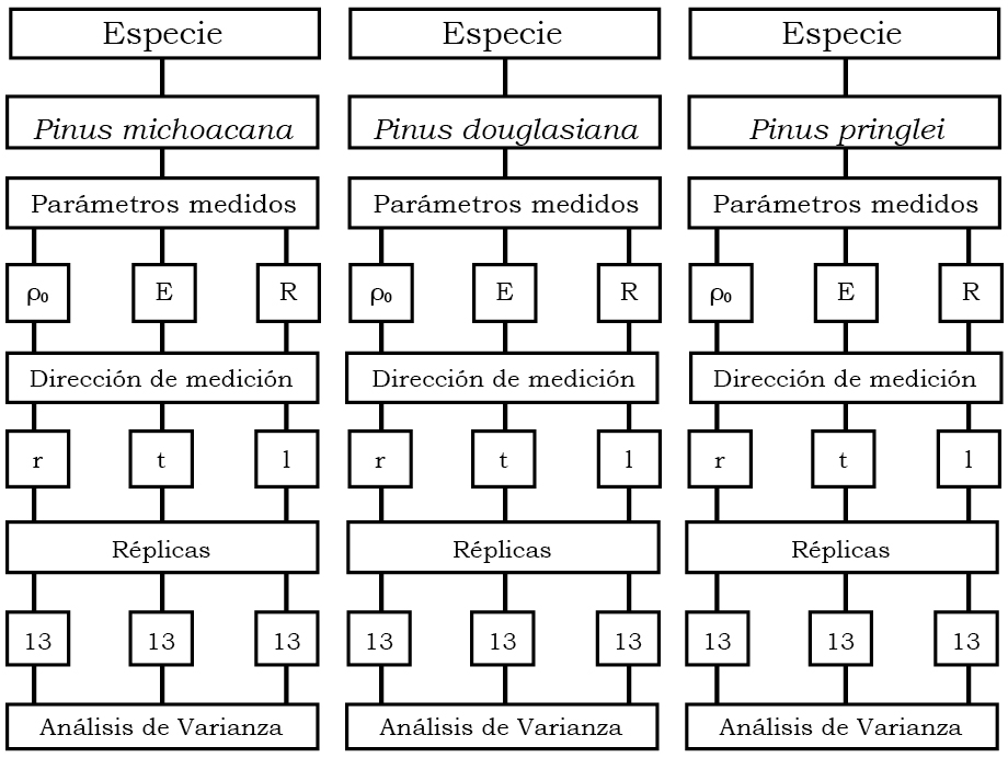 Direcciones de anisotropía de la madera, localización y