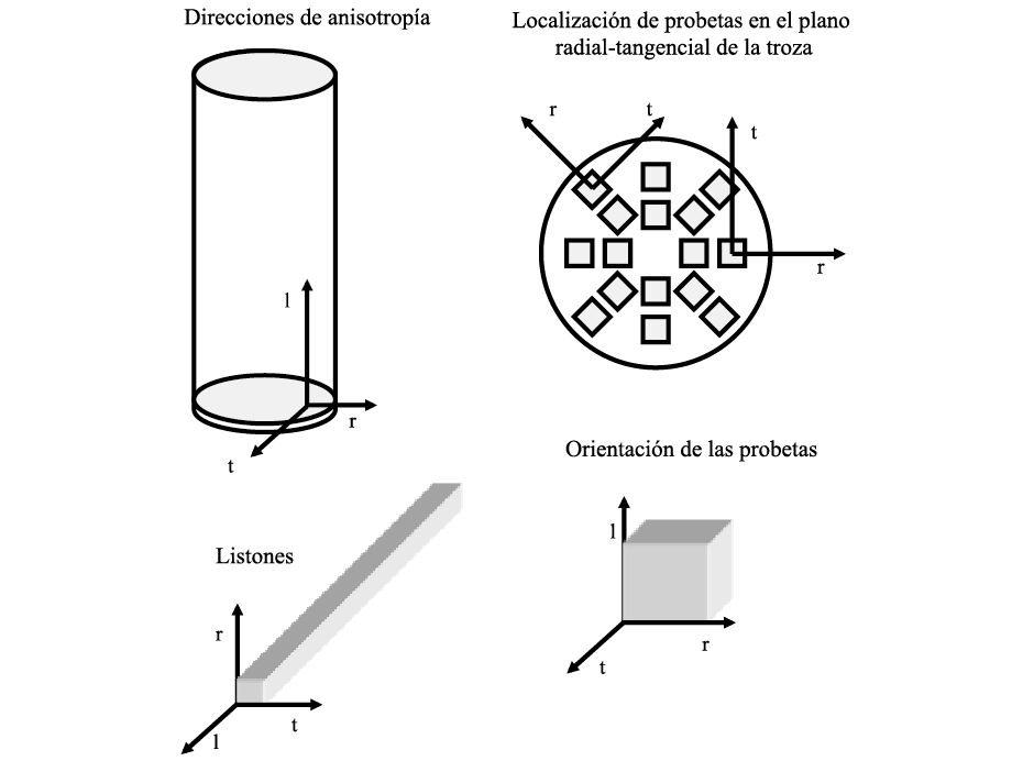 Anisotropía, PDF, Anisotropía